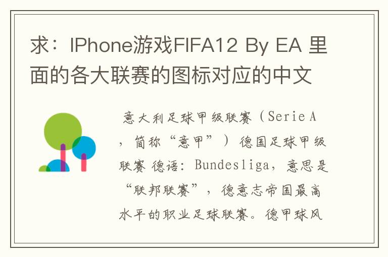 求:IPhone游戏FIFA12 By EA 里面的各大联赛的图标对应的中文名称 例如:Liga BBVA 西甲