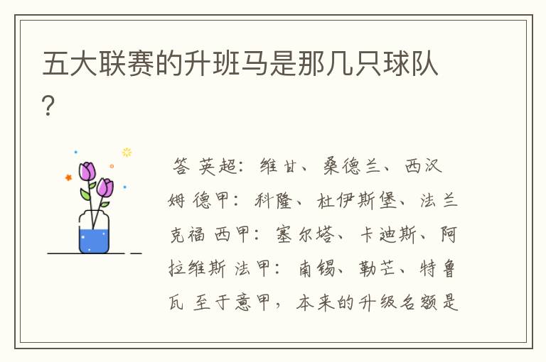 五大联赛的升班马是那几只球队?