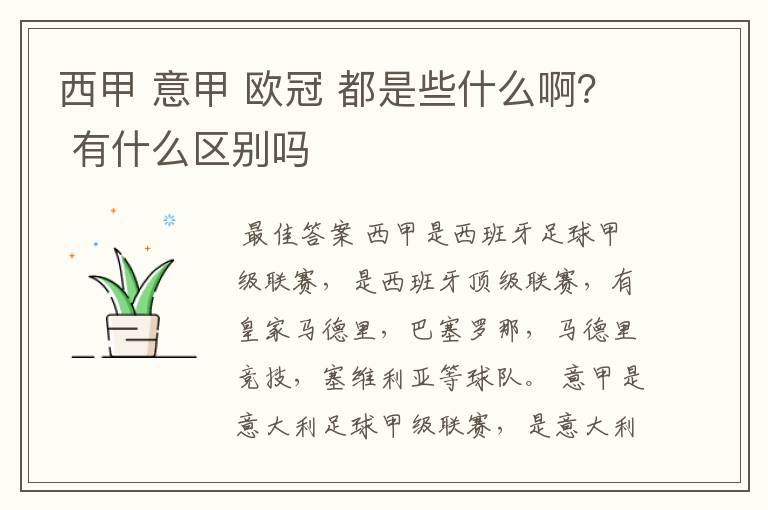 西甲 意甲 欧冠 都是些什么啊? 有什么区别吗