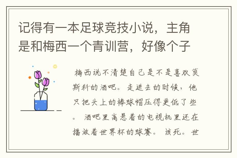 记得有一本足球竞技小说，主角是和梅西一个青训营，好像个子很矮，也有病，不知道有没有人知道？