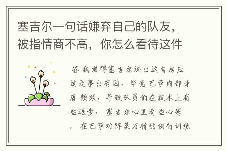 塞吉尔一句话嫌弃自己的队友,被指情商不高,你怎么看待这件事?