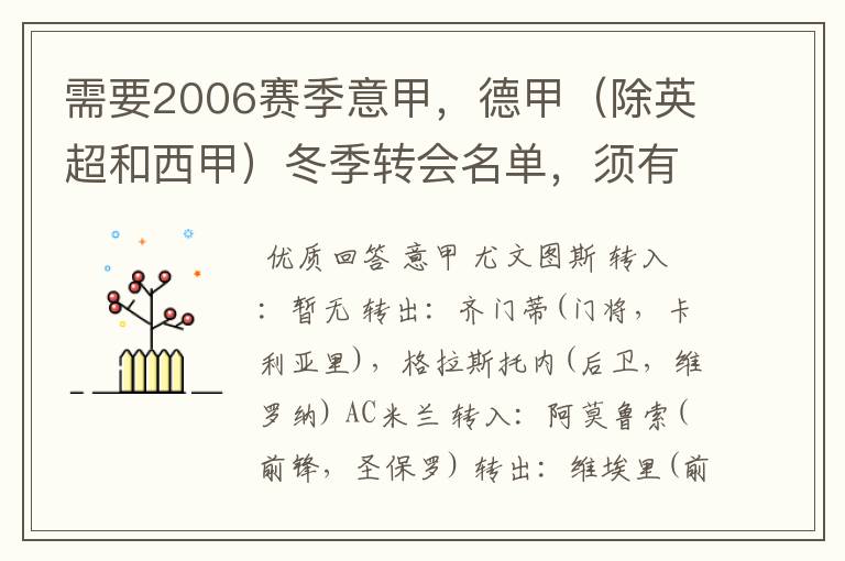 需要2006赛季意甲,德甲(除英超和西甲)冬季转会名单,须有转会方式