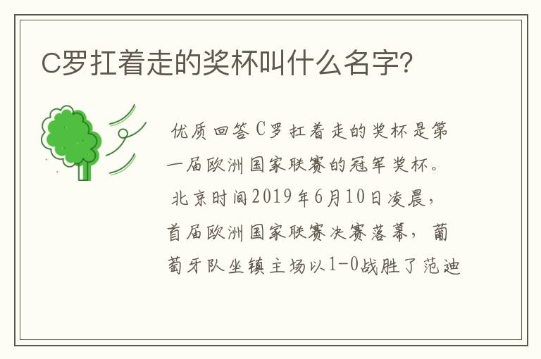 C罗扛着走的奖杯叫什么名字?