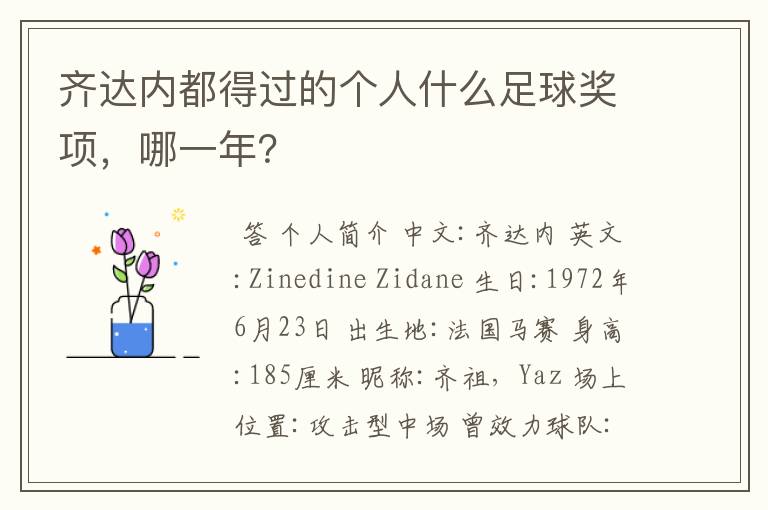 齐达内都得过的个人什么足球奖项,哪一年?