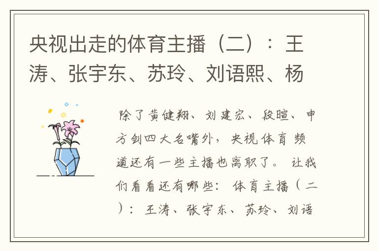 央视出走的体育主播(二):王涛、张宇东、苏玲、刘语熙、杨茗茗-
