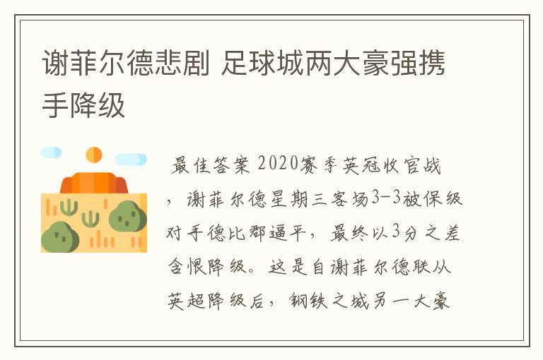 谢菲尔德悲剧 足球城两大豪强携手降级