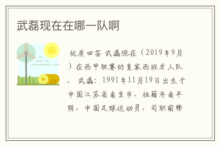 武磊现在在哪一队啊