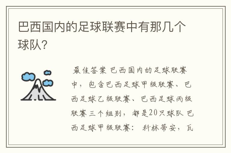 巴西国内的足球联赛中有那几个球队?