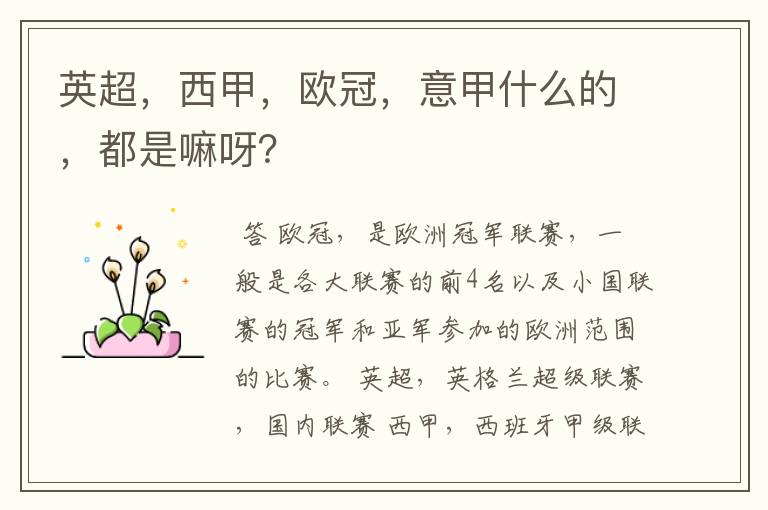 英超,西甲,欧冠,意甲什么的,都是嘛呀?