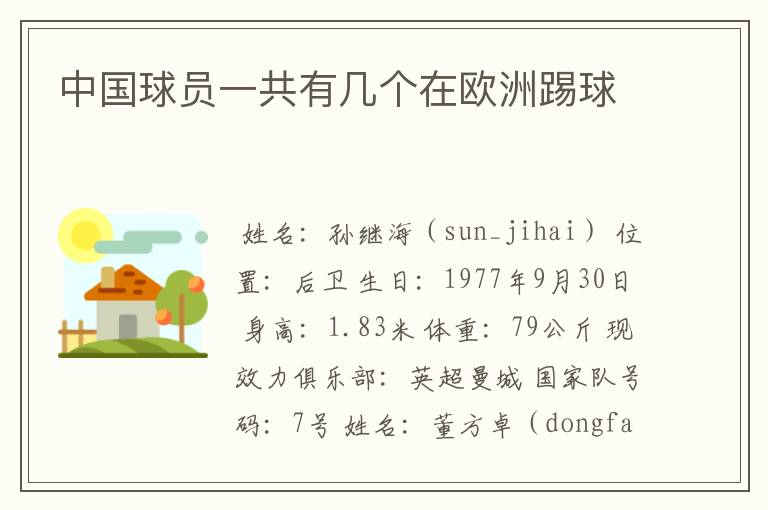 中国球员一共有几个在欧洲踢球