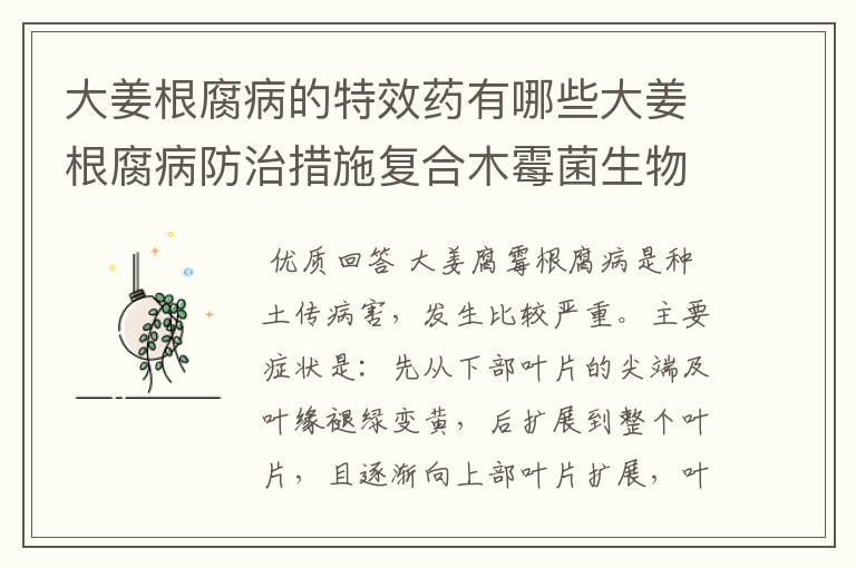 大姜根腐病的特效药有哪些大姜根腐病防治措施复合木霉菌生物农药