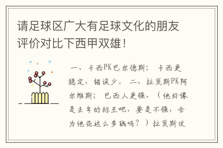 请足球区广大有足球文化的朋友评价对比下西甲双雄!