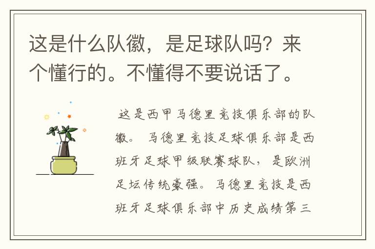 这是什么队徽,是足球队吗?来个懂行的。不懂得不要说话了。