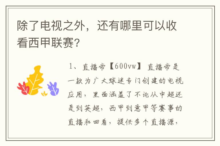 除了电视之外,还有哪里可以收看西甲联赛?
