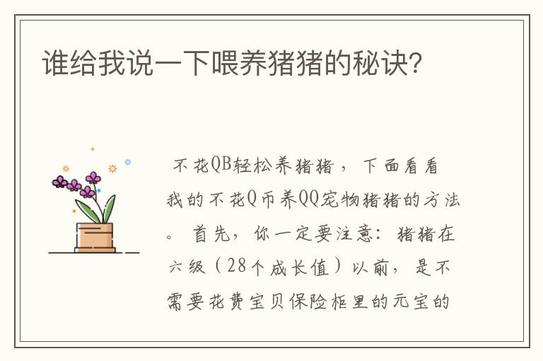 谁给我说一下喂养猪猪的秘诀?