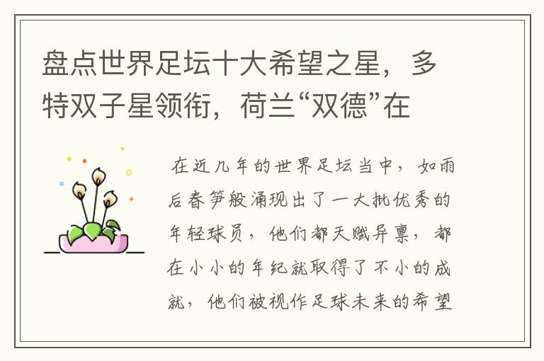 盘点世界足坛十大希望之星,多特双子星领衔,荷兰“双德”在列