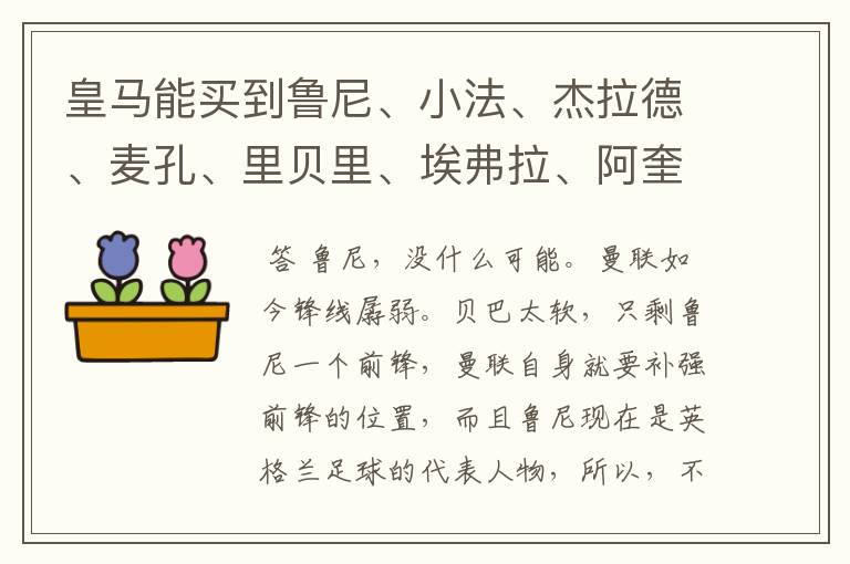 皇马能买到鲁尼、小法、杰拉德、麦孔、里贝里、埃弗拉、阿奎罗、帕托、席尔瓦、德罗西、特维斯中的谁?