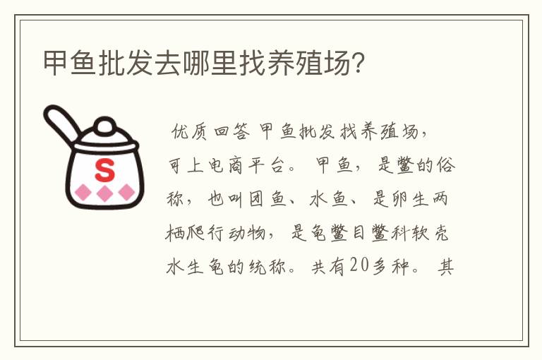甲鱼批发去哪里找养殖场?