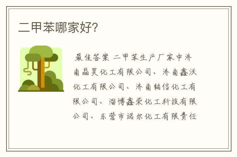 二甲苯哪家好?
