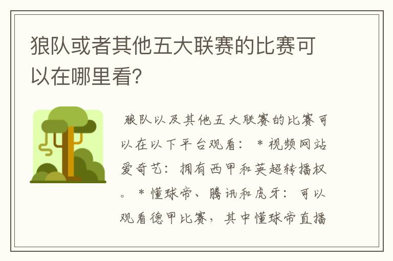 狼队或者其他五大联赛的比赛可以在哪里看?