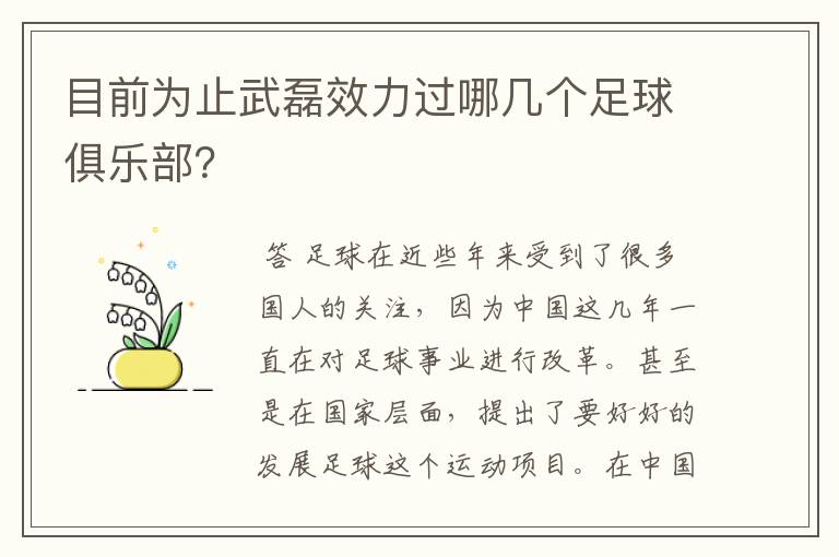 目前为止武磊效力过哪几个足球俱乐部？