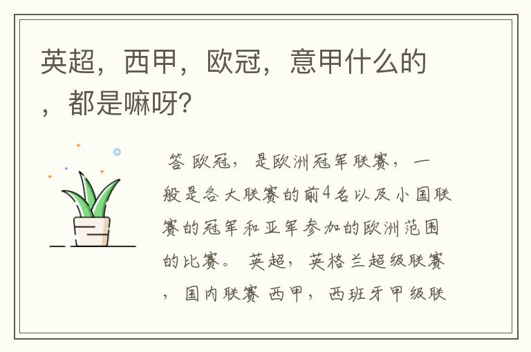 英超,西甲,欧冠,意甲什么的,都是嘛呀?