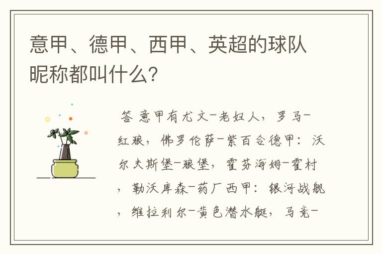 意甲、德甲、西甲、英超的球队昵称都叫什么?