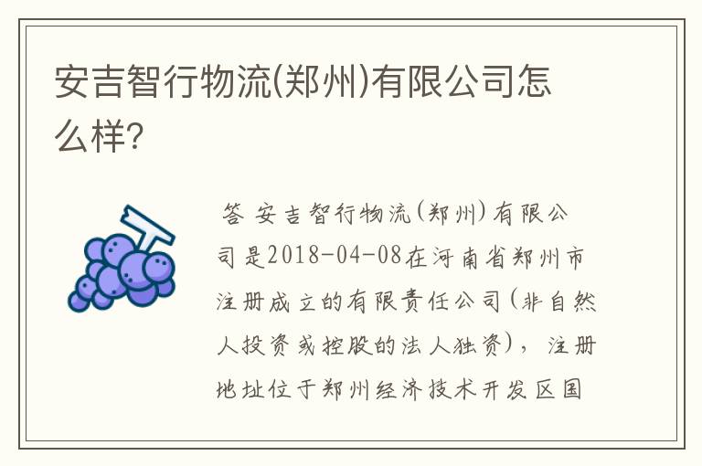 安吉智行物流(郑州)有限公司怎么样?