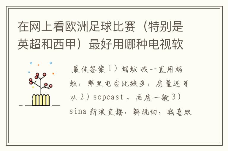 在网上看欧洲足球比赛(特别是英超和西甲)最好用哪种电视软件呢?