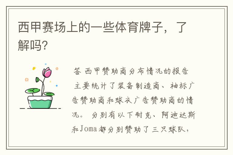 西甲赛场上的一些体育牌子,了解吗?