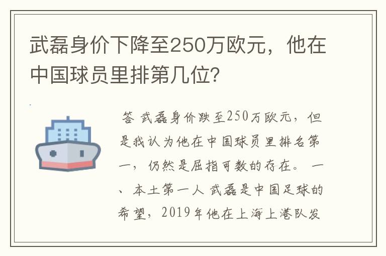 武磊身价下降至250万欧元，他在中国球员里排第几位？
