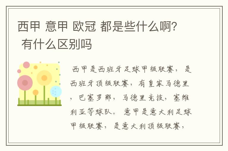 西甲 意甲 欧冠 都是些什么啊? 有什么区别吗