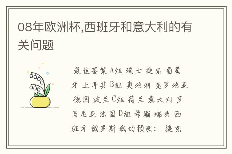 08年欧洲杯,西班牙和意大利的有关问题