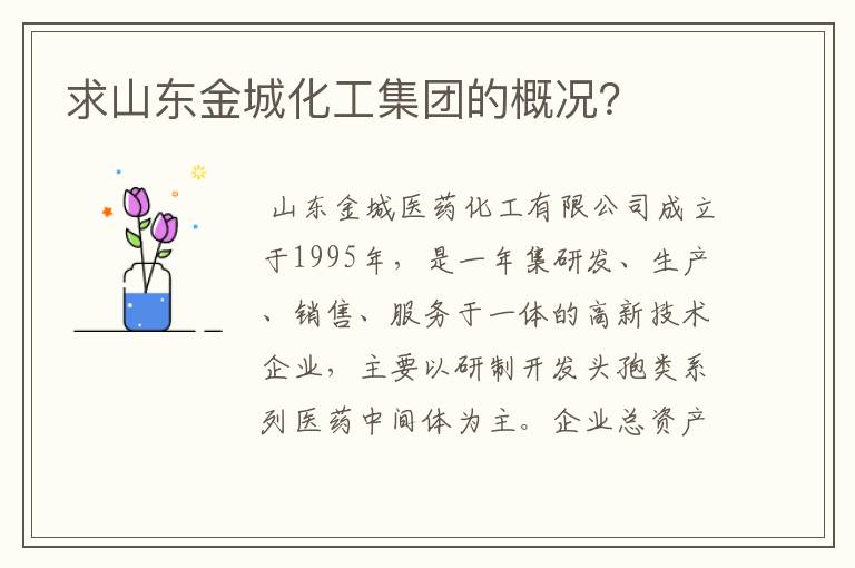 求山东金城化工集团的概况?