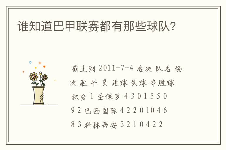 谁知道巴甲联赛都有那些球队?