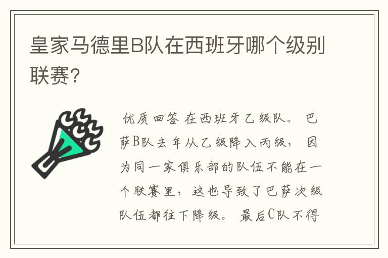 皇家马德里B队在西班牙哪个级别联赛?