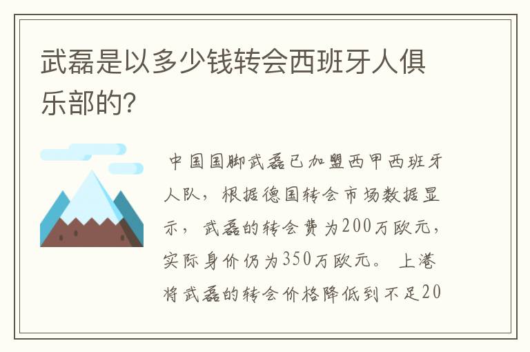 武磊是以多少钱转会西班牙人俱乐部的？