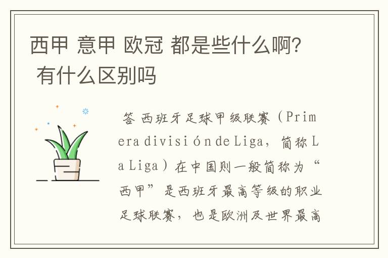 西甲 意甲 欧冠 都是些什么啊? 有什么区别吗