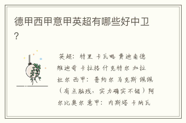 德甲西甲意甲英超有哪些好中卫？