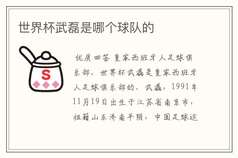 世界杯武磊是哪个球队的