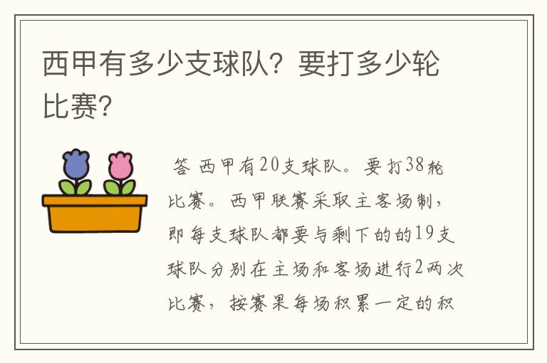 西甲有多少支球队?要打多少轮比赛?