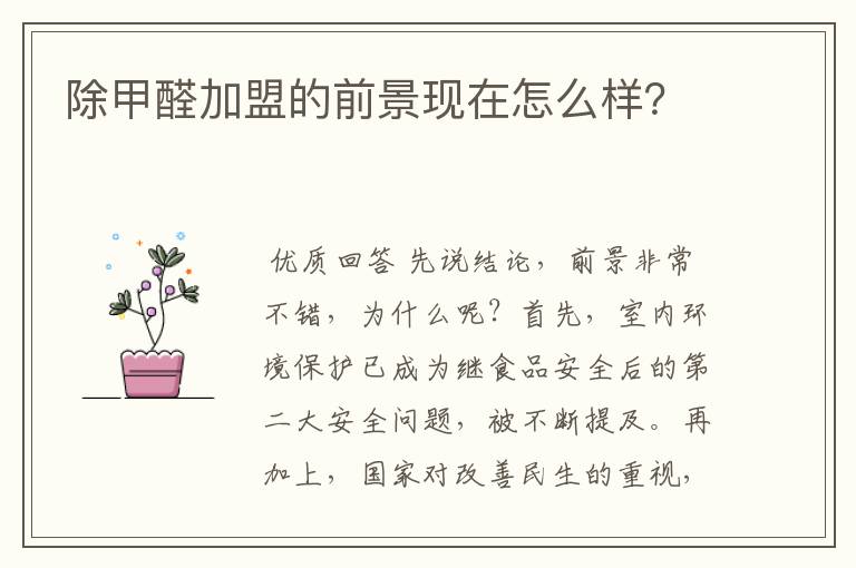 除甲醛加盟的前景现在怎么样?