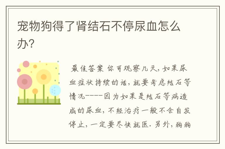 宠物狗得了肾结石不停尿血怎么办?