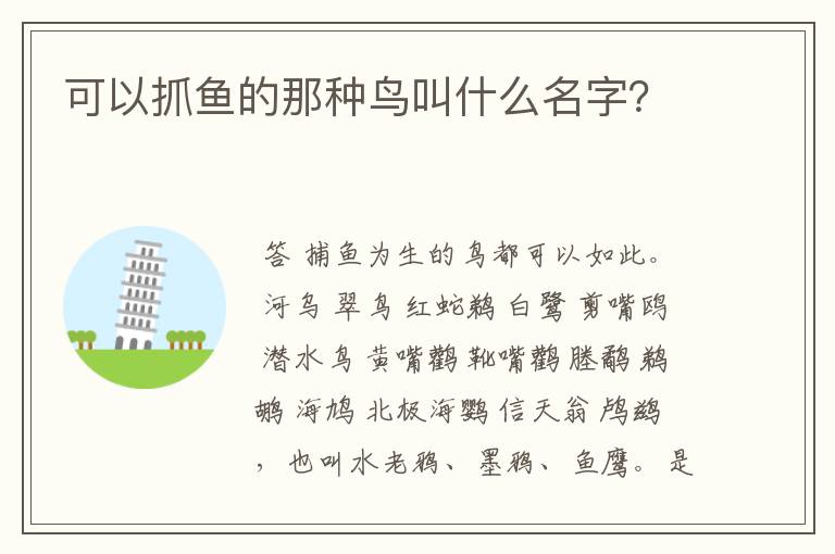 可以抓鱼的那种鸟叫什么名字?