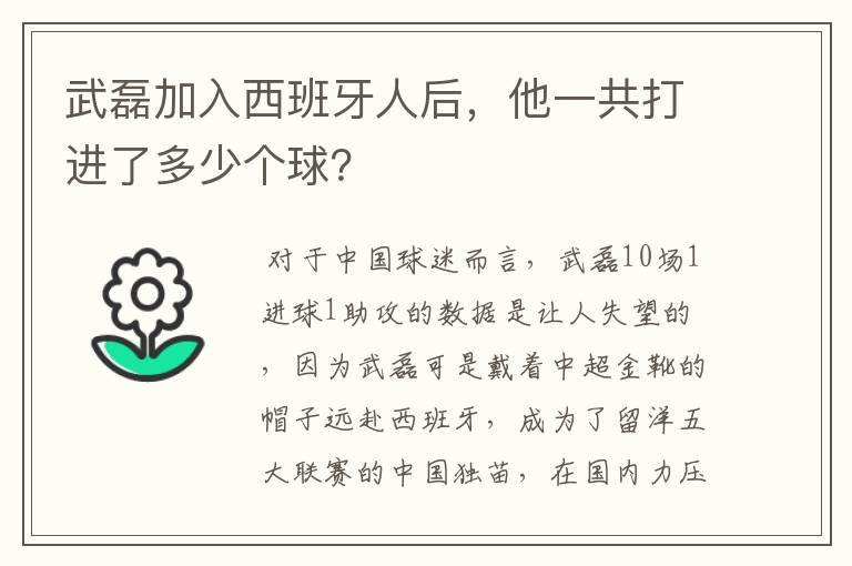 武磊加入西班牙人后,他一共打进了多少个球?