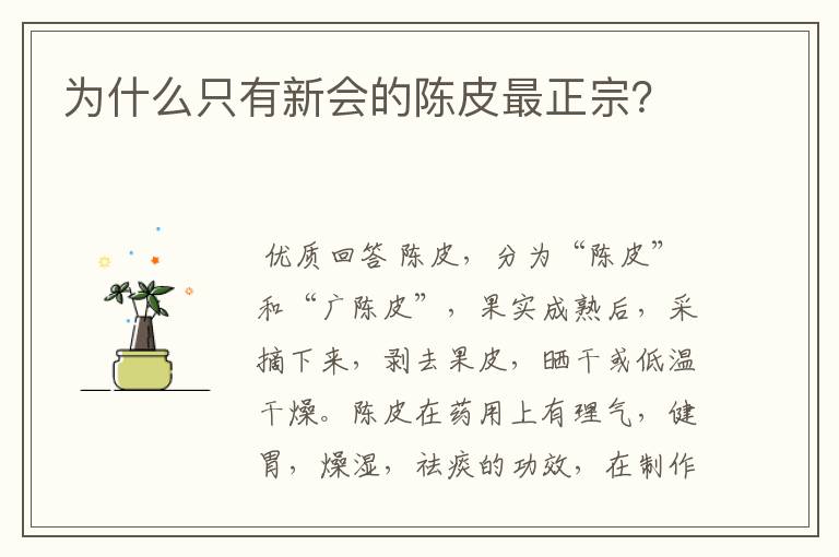 为什么只有新会的陈皮最正宗?