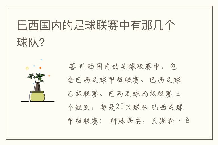 巴西国内的足球联赛中有那几个球队?
