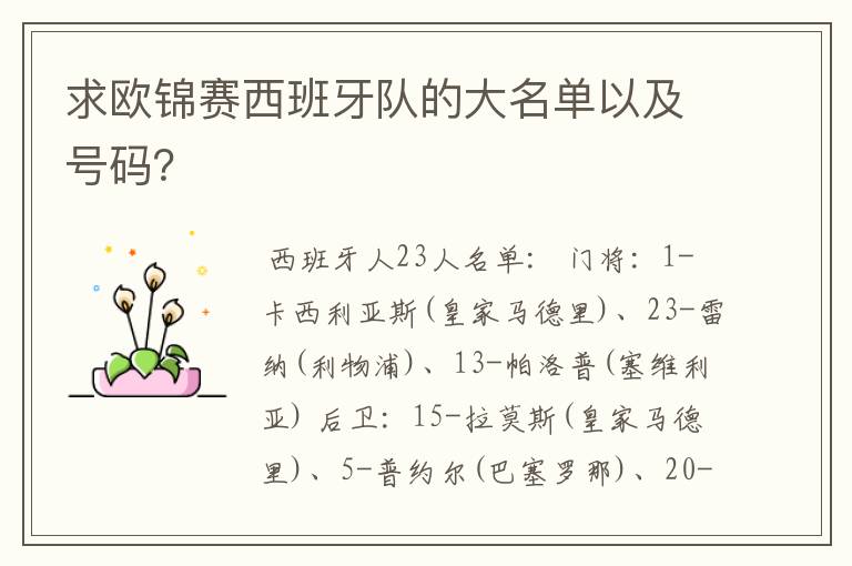 求欧锦赛西班牙队的大名单以及号码?