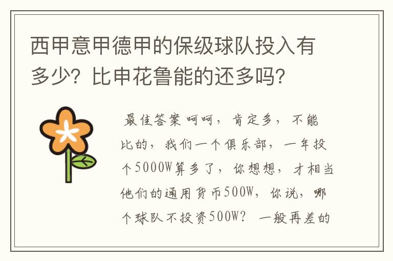 西甲意甲德甲的保级球队投入有多少？比申花鲁能的还多吗？