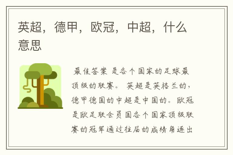 英超,德甲,欧冠,中超,什么意思